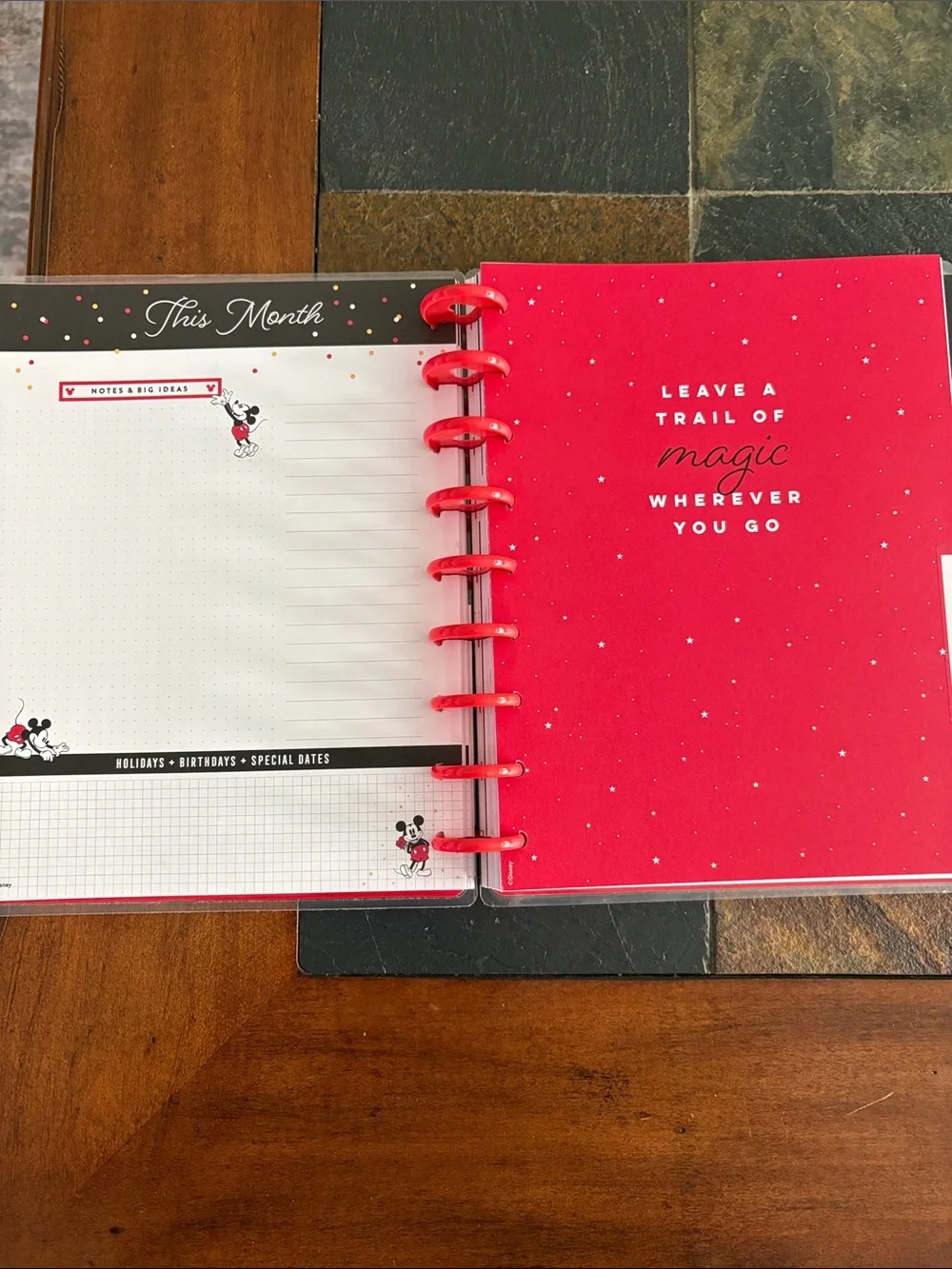 The Happy Planner bright red